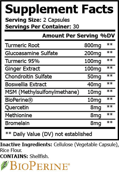 Elite XT – Premium Turmeric Formula for Joint Comfort & Muscle Recovery